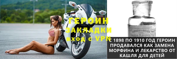 прущие грибы Елабуга
