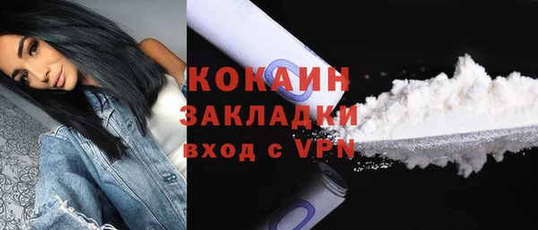 прущие грибы Елабуга
