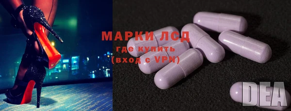 прущие грибы Елабуга