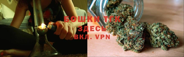прущие грибы Елабуга