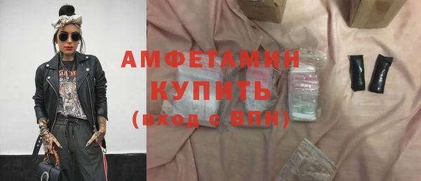 прущие грибы Елабуга