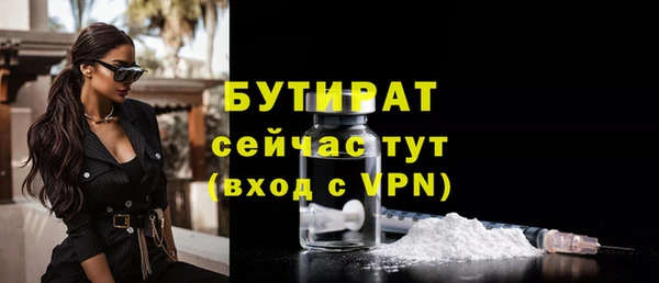 прущие грибы Елабуга