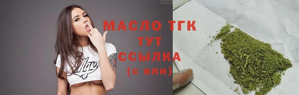 соль ск Ельня