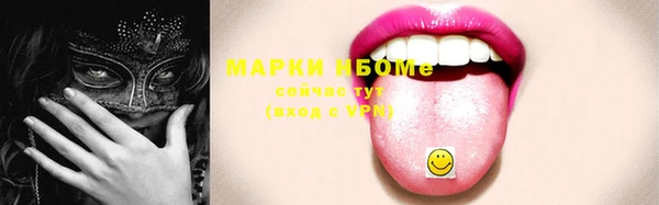 соль ск Ельня