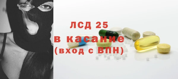 соль ск Ельня