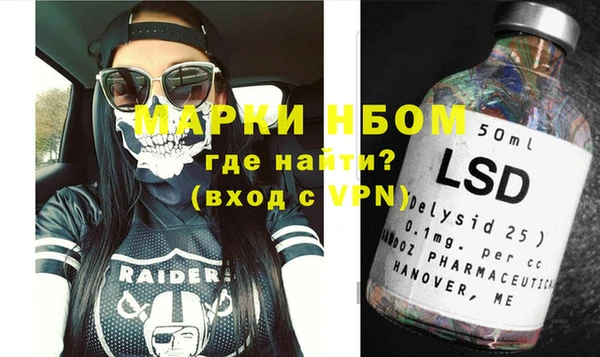 прущие грибы Елабуга