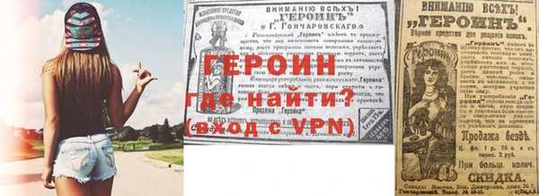 прущие грибы Елабуга