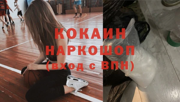 соль ск Ельня