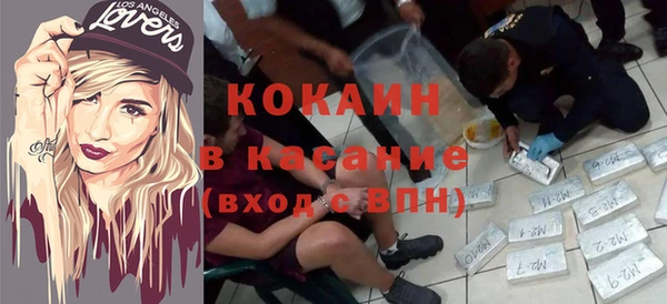 прущие грибы Елабуга