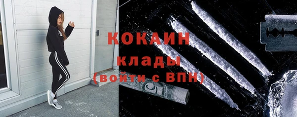соль ск Ельня
