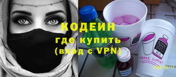 соль ск Ельня