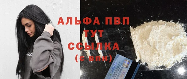 соль ск Ельня