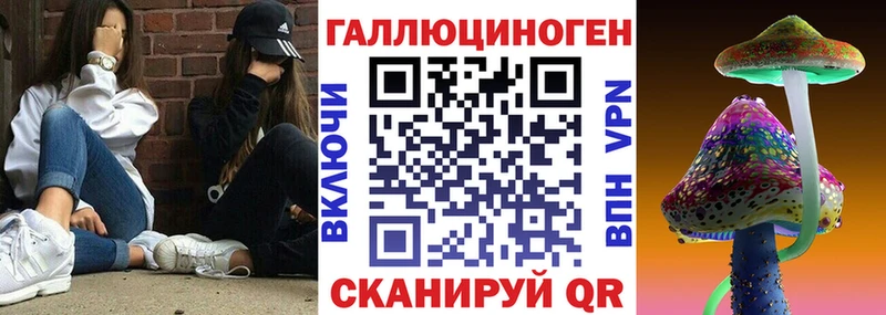 Купить где  Пролетарск  Псилоцибиновые грибы Psilocybe 